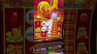 Back to back on $100 Spins! #gambling #casino #money #comedy #slots