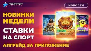 Ставки на спорт, новинки недели и апгрейд за приложение | Новости казино Чемпион