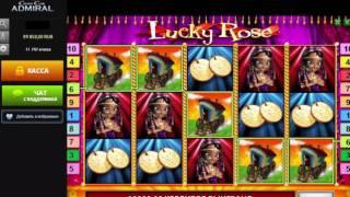 Лудовод: слот Lucky Rose, казино Адмирал