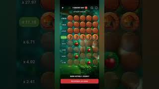 Apple of Fortune test en temps réel du jeu 1xbet version rapide #1xbet #1xgames #apple