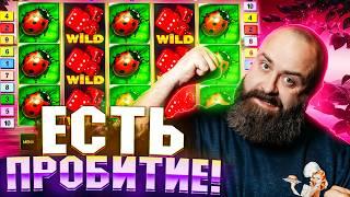 15 СЛОТОВ… И ТОЛЬКО ОДИН РЕШИЛ ВСЁ