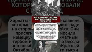 ЕДИНСТВЕННЫЕ СЛАВЯНЕ, КОТОРЫЕ ШТУРМОВАЛИ СТАЛИНГРАД      #интересныефакты #вов #СССР #история #война