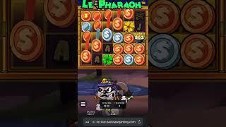 Huge epic win on Slot Le pharaoh ! #games #slot #casino #bonus #bigwin #pharaoh #hacksaw #mystake