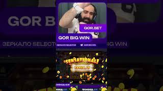 Х760 в слоте The Dog House на канале GorBigWin #casinogames  #thedoghouse #selector