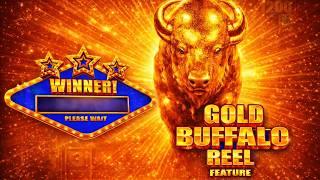 3 Gold Buffalo Reels Max Bet Hand Pay Caught Live! Buffalo Mega Stampede!