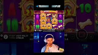 Огромный занос в слоте Dog House #занос #заносынедели #казино #casino