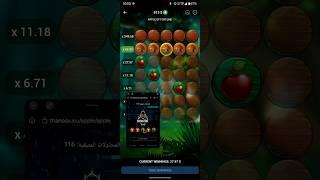 1xbet  Apple of fortune hack 