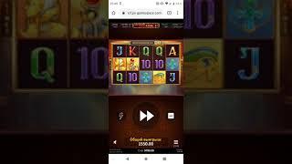 8000 rubl utdim casino Men 1xbet занос в книжках на 8к