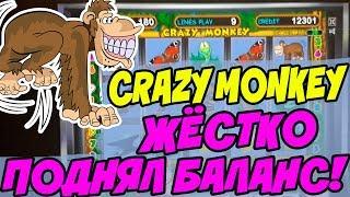 Выигрыш в Казино Вулкан! Игровой Автомат Crazy Monkey поднял Баланс!