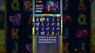 чутка дают заноса пчелы  #slot #промокод #zubarefff #casino #win #shorts