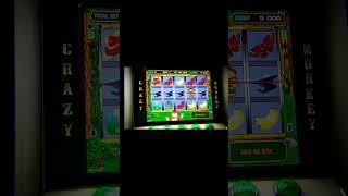 Поймал поляну, играю в казино онлайн вулкан слот crazy monkey #shorts