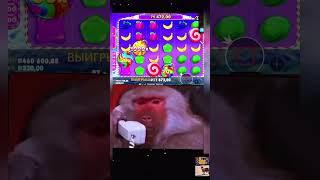 Подписывайтесь ! Стримы и посиделки каждый день ! #shorts