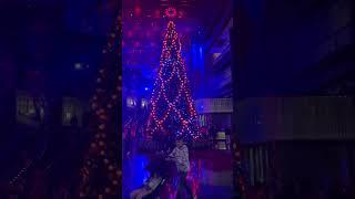 C#crown melbourne#christmas