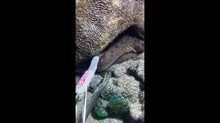 Реальный стрим, реальные заносы 