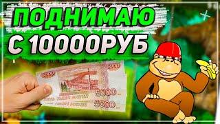 Зашел и налегке отобрал у Обезьяны 200к рублей в Казино Вулкан 