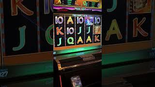 4400$ BIG WIN!!! #хозяинказино #slot #занос #bookofra #bigwin #mister_tier