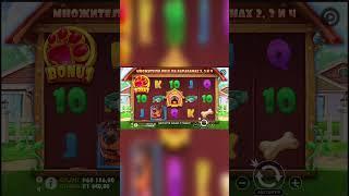 Типичный игрок в Казино #casino #doghouse #заносынедели