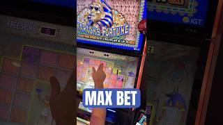 MAX BET on Pharaoh's Fortune! #casino #slots #bonus #jackpot