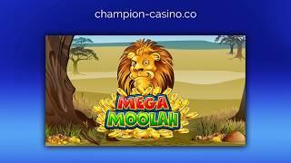 Обзор Mega Moolah в казино Чемпион: смотрим!