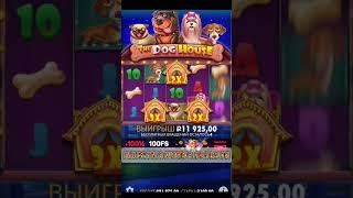 Собаки по 100р мало спинов #бонусы #казино #казиноонлайн #vavada #casino #slot #slotonline