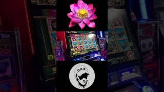 AMAZING BONUS ON THAI FLOWER! | £500 Admiral Arcade FOBT Slot