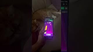 Игру и бонусы сможешь найти в моем профиле  #playme #pianogame #казино