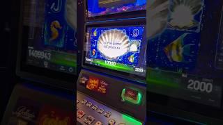 Ракушки в Настоящем Казино #казахстан #шортс #занос #бонус