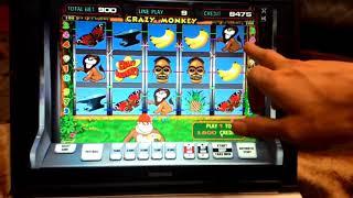 Вулкан выигрыш в слот Crazy Monkey. Играть в казино вулкан бесплатно.