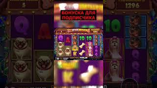 ARKADA БОНУС ДЛЯ ПОДПИСЧИКА ЗАНОСЫ НЕДЛЕИ DOG HOUSE #shorts