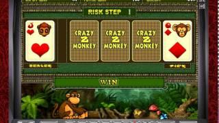 Игровой автомат Crazy Monkey 2 (Обезьянка 2) играть бесплатно на Casino-Sparta.com