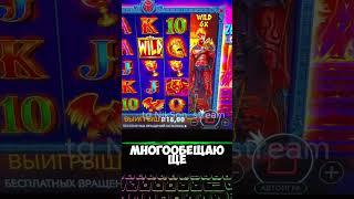 собаки #shorts  #заносывказино #казинозаносы   #shortvideo #бонусыказино #бонусы