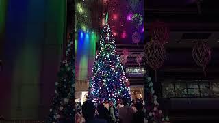 Crown Casino Melbourne - Christmas Eve