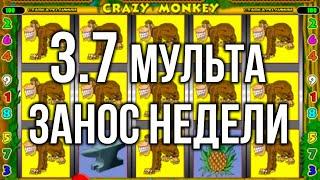 Заносная катка 3.7 мульта! Занос недели в казино вулкан старс, игровой автомат крейзи манки. Стрим.