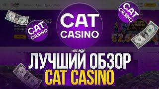 ✅ Какие Игры на Деньги в Казино ЛУЧШИЕ? Обзор Кэт Казино | Играть в Казино | Казино на Деньги