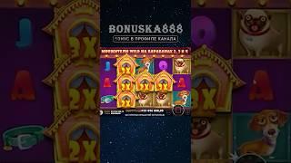 Занос 50.000.000 руб в DOG HOUSE #занос #слоты #выигрыш #казинострим #казино