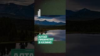 Алтай превратят в казино
