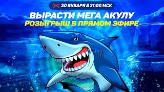 Розыгрыш "Мега Акулы" - призы на 300 000 рублей