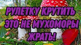 авто-рулетка  онлайн казино ( эта  система  работает только на Ezugi .)