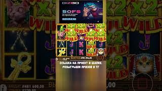 кошечки снова балуют #shorts #casino #buster #zubarefff #промокод