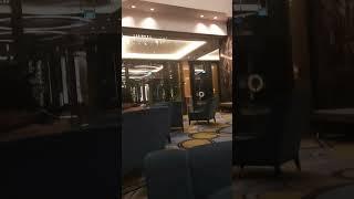 Melbourne casino #explore #viral