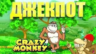 Казино Вулкан Игровые Автоматы Онлайн  Игровой Автомат Crazy Monkey Обезьянки  Стрим видео слоты