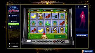 Как выиграть в игровые автоматы Crazy Monkey в онлайн казино Вулкан. #онлайнказиноиграть#