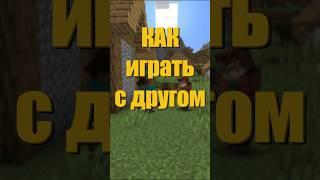 Как играть в двоём в Minecraft 