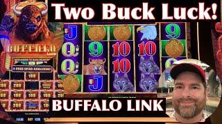 Buffalo Link $2 Bets -- Smaller Bets Turn Into Multiple Big Wins!  Buffalo - oooooooo!