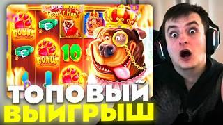ЗЛОЙ ПОЙМАЛ ТОПОВЫЙ ВЫИГРЫШ В THE DOG HOUSE ROYAL HUNT | ЛУЧШИЕ МОМЕНТЫ ЗЛОГО №571 | Заносы Недели