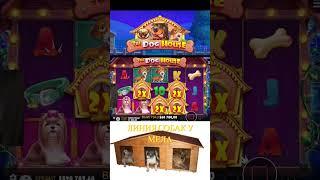 МЕЛСТРОЙ ПОЙМАЛ БОНУСКУ В СОБАКАХ #mellstroy #занос #shorts #casino #слоты #maxwin #казино