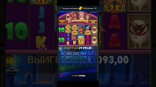 Занос казино Trix zooma Melbet cat casino заносы недели от x1000