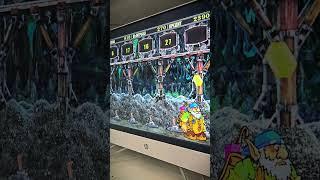 ПЛЮС 178000 в ГНОМАХ! / Игровые автоматы в онлайн казино