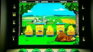 Мега выигрыш в игровой автомат SWEET LIFE Казино Вулкан как выиграть Как обыграть игровые автоматы