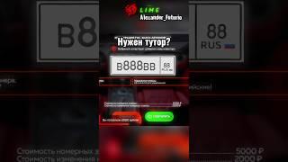 Прокрутка номеров на Black Russia Lime
